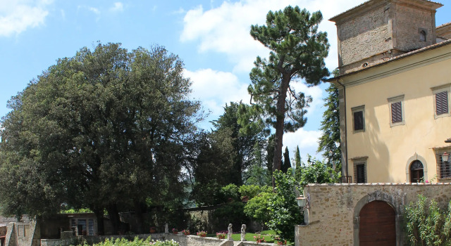 Marangole 12 in Radda in Chianti