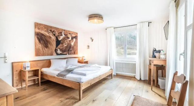 Двухместный номер Standard с видом на озеро Hotel Kaiserstuhl