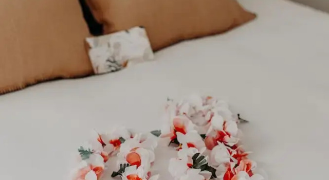 Номер Classic Hôtel PALMITO