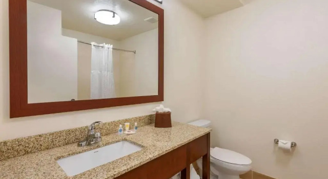 Люкс Comfort Suites Downtown
