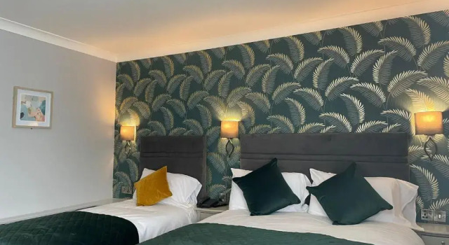 Standard single cameră Ardboyne Hotel