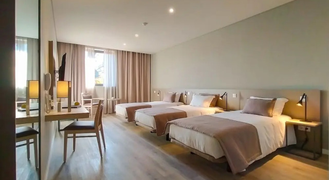 Номер Standard Hotel Dom Leal