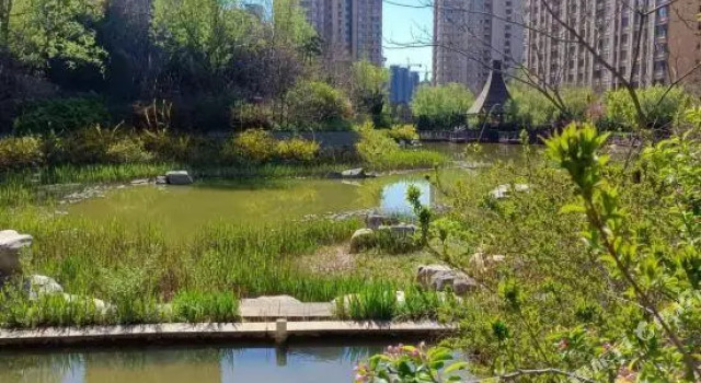 Querju Seaview Apartment Hotel, Prenota Appartamento Dalian 