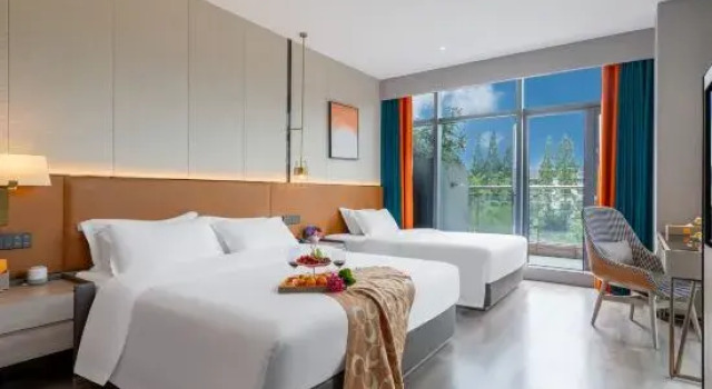Люкс Dujiangyan Yuandong Yaju Hotel