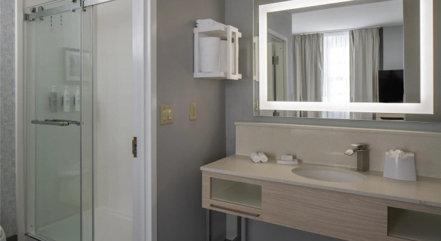 Номер Standard Hampton Inn & Suites Montgomery-Downtown