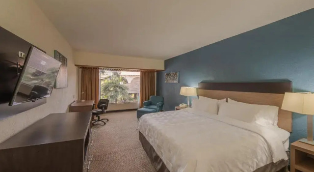 Номер Standard с видом на сад Holiday Inn Guadalajara Expo Plaza del Sol by IHG