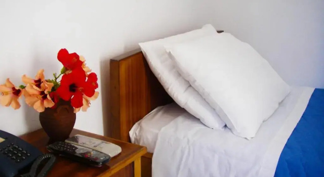 Одноместный номер Standard Hotel Helena