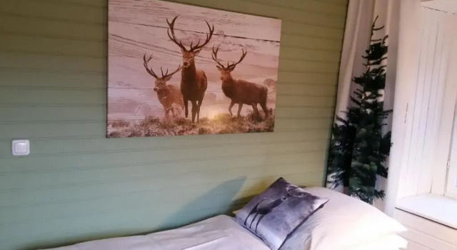 Двухместный номер Standard Hotel & Landgasthof Zur Fichte