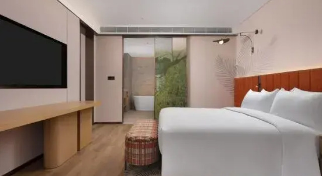 Люкс Deluxe Hilton Garden Inn Harbin Haxi