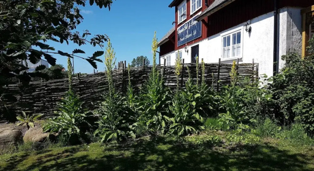 Augustas Bed & Breakfast AB, Rezerwuj Hotel Hotele w Falkenberg z parkingiem, Parking