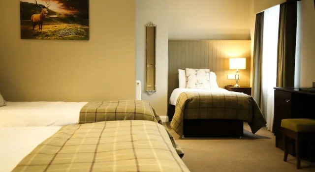 Семейный номер Standard Mulroy Woods Hotel