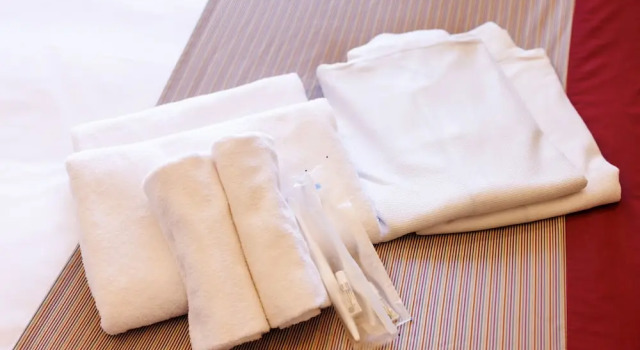 Люкс Deluxe Floral Hotel East Shinsaibashi