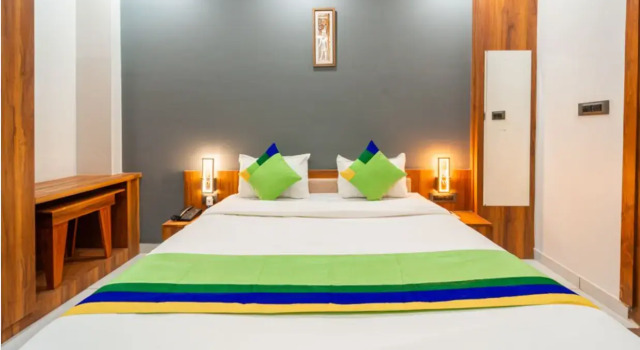 Номер Standard Treebo Lake City