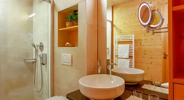 Номер Deluxe Biohotel Mattlihüs
