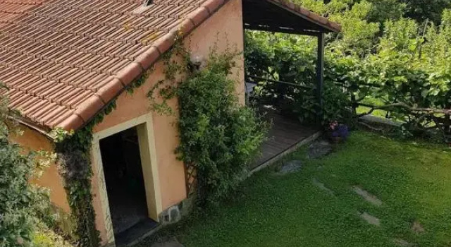 Pin de stèlle, Забронировать Отель Бизнес-отели Ривьера-делле-Пальме, 4* 5*