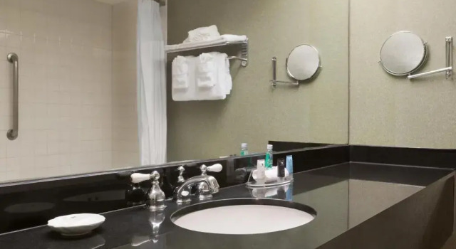 Четырёхместный номер Executive Crowne Plaza Auburn Hills by IHG