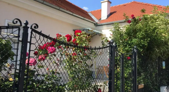 Апартаменты c 1 комнатой Terrasse Wohnungen mit parking in Zentrum
