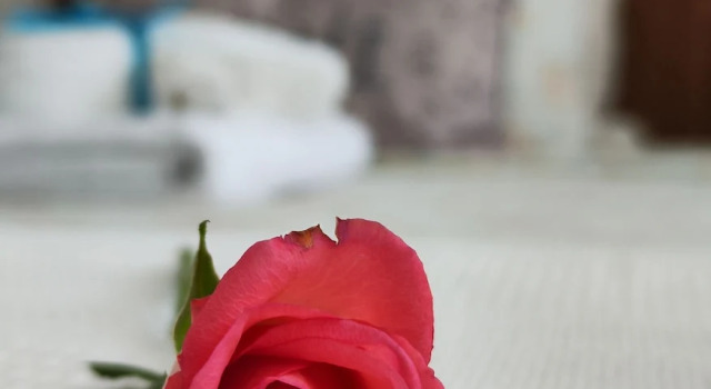 Студия Buon Studio Sibiu, near train station and Small Square Old Town
