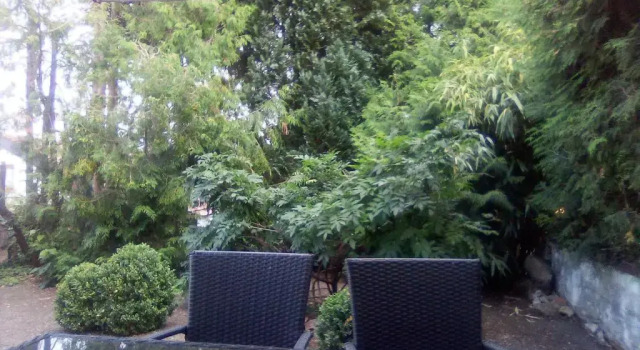 Апартаменты Ferienwohnung Linde Otzenhausen