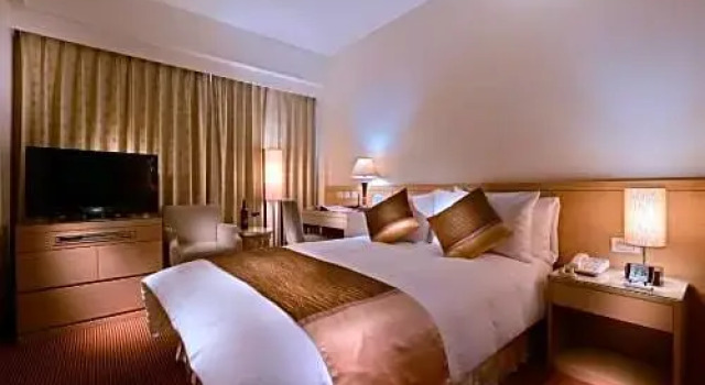 Двухместный номер Deluxe Gala Hotel
