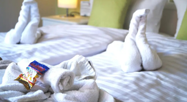 Standard simple chambre REGIOHOTEL Aparthotel Wernigerode