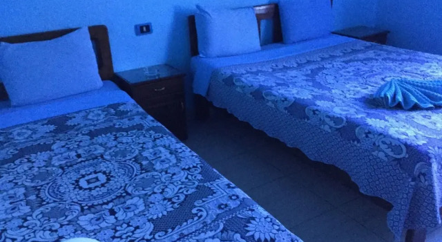 Hostel Luna