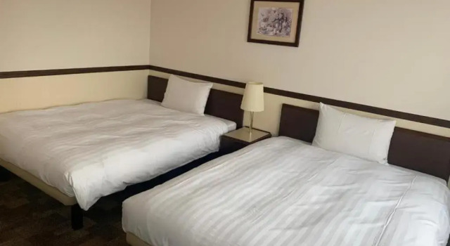 Двухместный номер Deluxe Toyoko Inn Osaka Namba Nippombashi