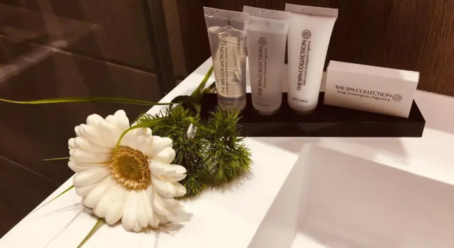 Номер Standard StadtHotel ARTE