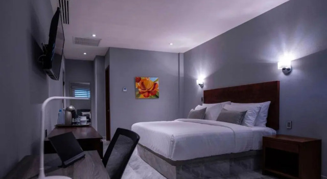 Номер Deluxe Hotel La Querencia