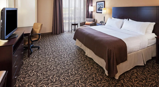 Двухместный номер Standard Holiday Inn Ardmore by IHG