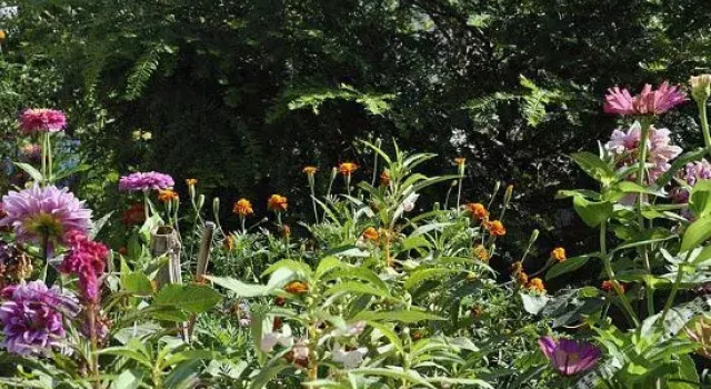 Yiqing Yard