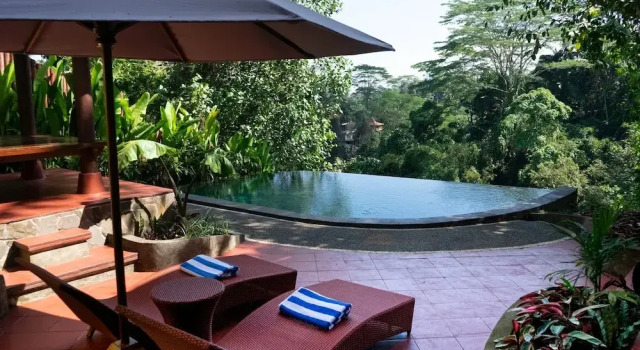Люкс Villa Leona Valley View Ubud
