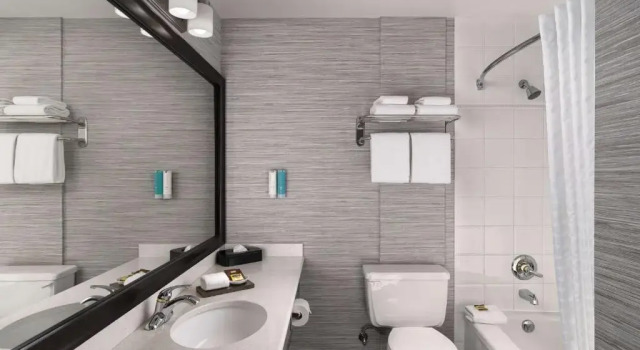 Полулюкс Deluxe BEST WESTERN PLUS Carlton Plaza Hotel