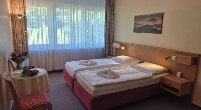 Двухместный семейный номер Standard Panorama Hotel Oberwiesenthal im Erzgebirge