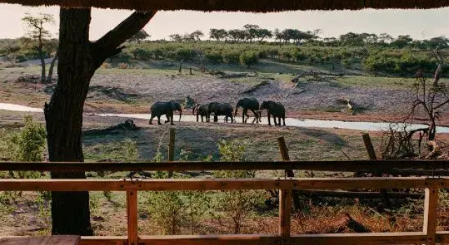 Тент Savute Elephant Lodge
