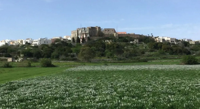 Studio in Alessano, With Wonderful City View, Furnished Garden and Wif