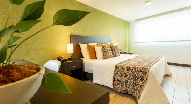 Двухместный номер Standard Hotel Carretero