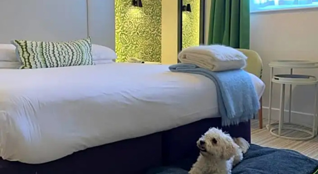 Номер Deluxe The Maids Head Hotel