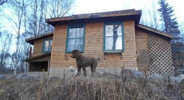 Chickadee Inn, Boek Hotel Lazy Mountain Verenigde Staten
