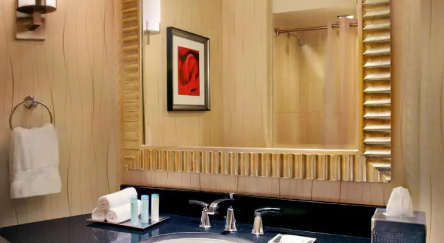 Двухместный номер Deluxe Hilton Rosemont Chicago OHare