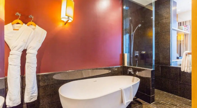Двухместный номер Executive Hotel Kapok Shenzhen Bay