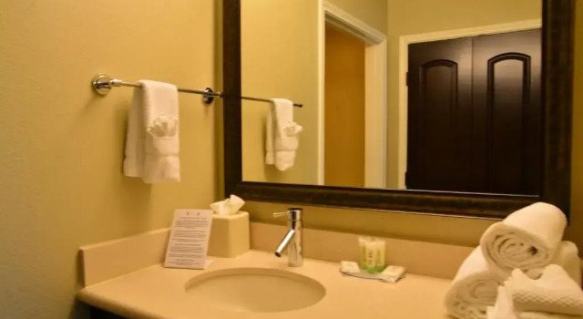 Двухместный номер Standard Staybridge Suites College Station by IHG