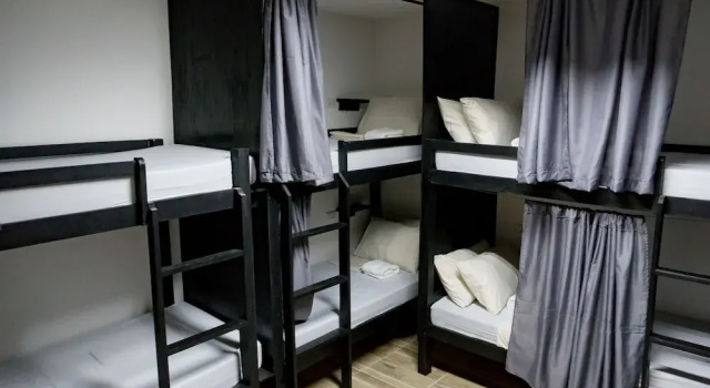 Кровать в общем номере Crazy Bears Hostel