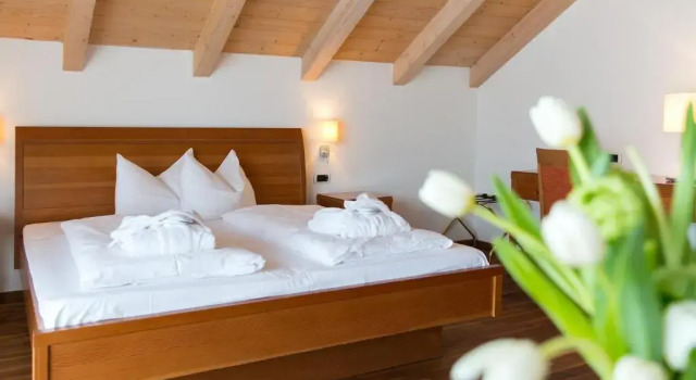 Номер Superior Hotel Blitzburg