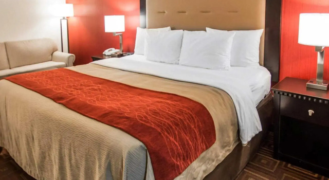 Номер Standard Quality Inn & Suites NJ State Capital Area