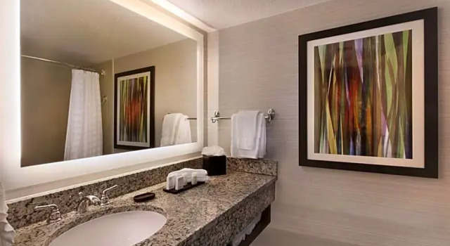 Люкс c 1 комнатой Embassy Suites by Hilton Palm Desert