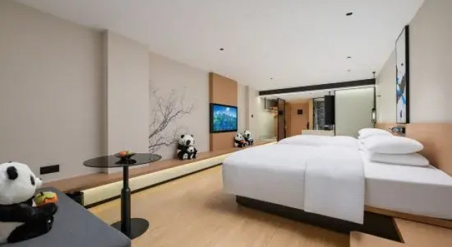 Номер Standard Fairfield by Marriott Chengdu Tianfu Square