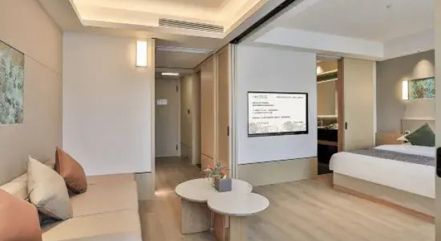 Люкс Zhongda Langyuan Hotel