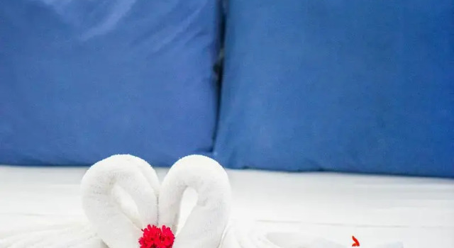 Номер Standard Fava Eco Suites