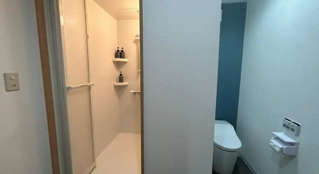 Апартаменты с 3 комнатами Hakuba Sunrise Apartments